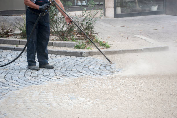  Terra Bella, CA Pressure Washing Pros